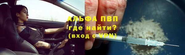 СК Кодинск