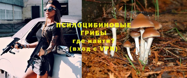 ALPHA PVP Козельск