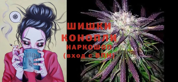 СК Кодинск