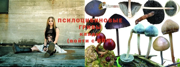 скорость Козловка