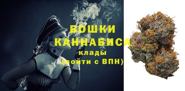 ALPHA PVP Козельск