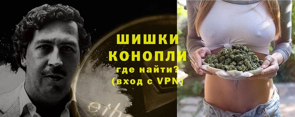 СК Кодинск