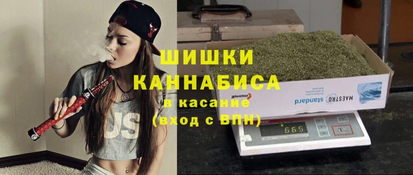 ALPHA PVP Козельск