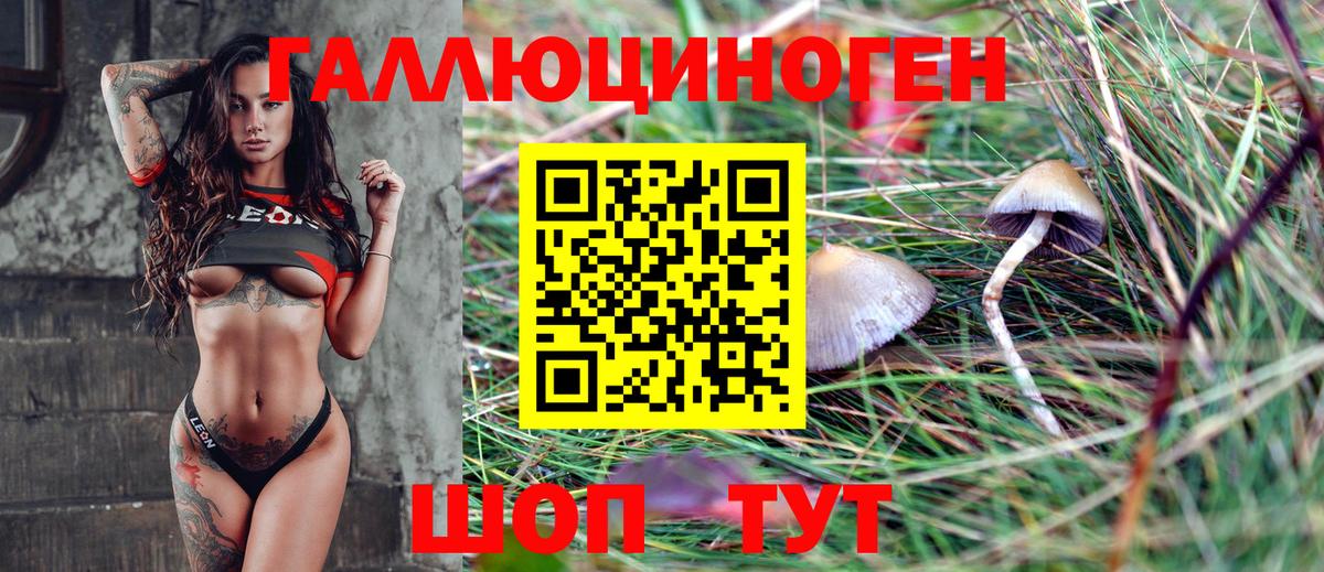 Галлюциногенные грибы MAGIC MUSHROOMS  наркота  Нижний Новгород  Вход с VPN  Псилоцибиновые грибы Cubensis 